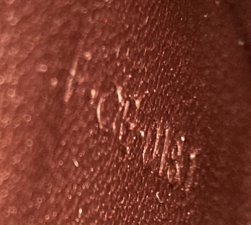 Celine Classic Box Bag Stingray Small #230570C17B - Picture 6 of 6